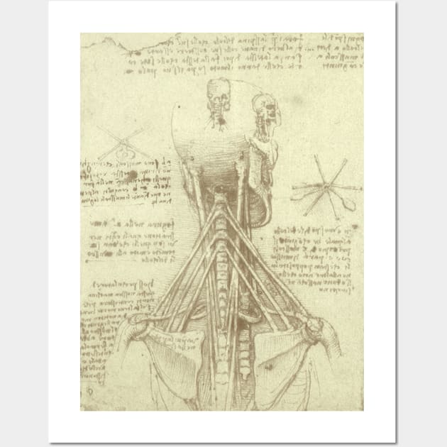 Human Anatomy Spinal Column by Leonardo da Vinci Wall Art by MasterpieceCafe